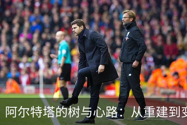 阿尔特塔的树与心路：从重建到变革的旅程